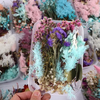 1 Karp Tõeline Segatakse Kuivatatud Lilled, Taime Vaik Ehted Kuivad Taimed Pressitud Lilled Tegemine Käsitöö DIY Photo Frame Tarvikud