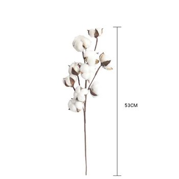 10 Head Looduslikult Kuivatatud Cotton Flower Kunstlik Taimed Õie Branch Pulmapidu Teenetemärgi Võltsitud Lilled Home Decor