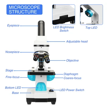 100-2000X magnification student scientific experiment biological microscope 5405