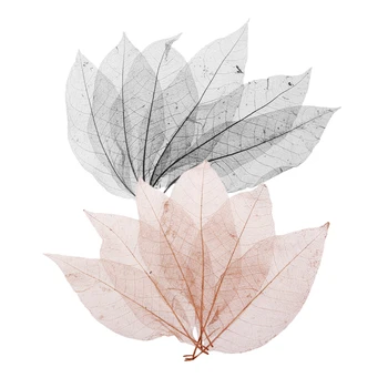 100 Tükki Loomulik Magnolia Skelett Jätab Kaunistus jaoks Külalisteraamatusse DIY Crafts Järjehoidja Musta Kohvi