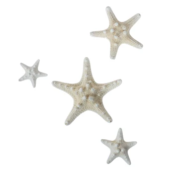 1TK Home Decor Valge Meritäht 2-14cm Valge Looduslik Sõrme Sea Star Pulmad Decor Merekarpe Seafish Pool Beež Seastar Käsitöö