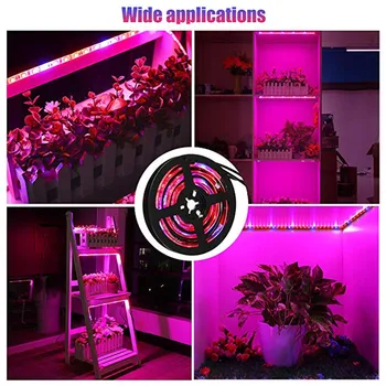 5 M LED Füto Lambid Täieliku Spektri LED Valgus 300 Led 5050 LED Kiip Fitolampy Kasvab Tuled Kasvuhoone Hüdropooniline taim