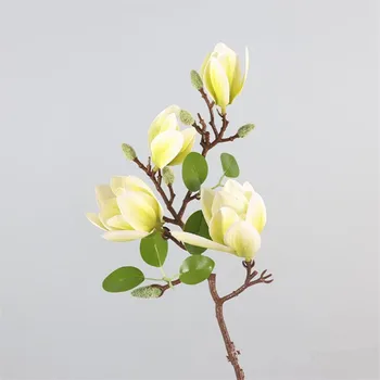 5P Lateks Magnolia 4 Pead, 26