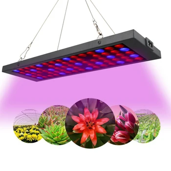 600W LED Taime Kasvu Lamp, Lill, Taim Lamp Hüdropooniline Täieliku Spektri Sise-Ja Köögivilja ning Lillede Kasvu Lamp
