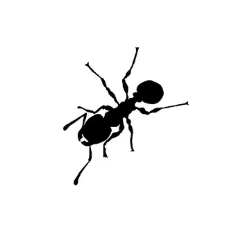 Auto Kleebis Pimestav Karikatuur Minimalistlik Putukate Ant Shadow Lahe Mootorratta Dekoratsioon Decal Armas Vinüül,12cm*14cm