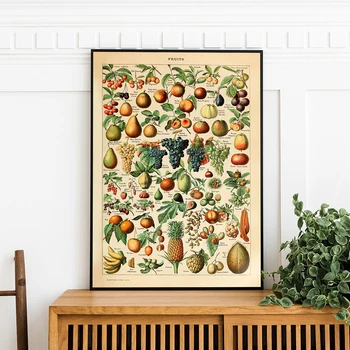 Botaanika Haridus-Plakat Puu-Print Vintage Millot Prantsuse Poster Art Viide Chart Skeemi Seina Art Lõuend Maali