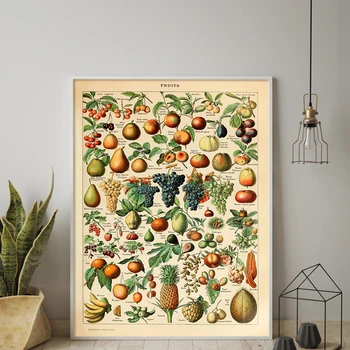 Botaanika Haridus-Plakat Puu-Print Vintage Millot Prantsuse Poster Art Viide Chart Skeemi Seina Art Lõuend Maali