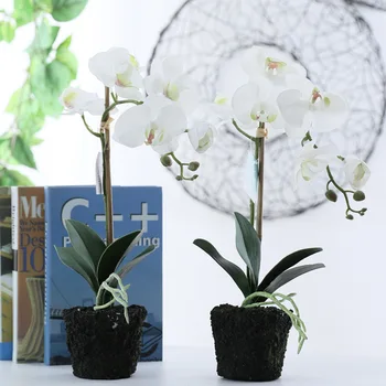 Butterfly Orchid Set Pottidesse tehislilled Phalaenopsis Tunnen Kodu Kaunistamiseks Pulmad kunstliku orhidee siidist Lilled Decor