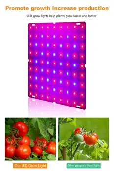 COB LED Grow Light Täieliku Spektri 100W 200W Ultra Õhuke Quantum Tech Juhatuse 2835 Kasvule Valgustus Hydroponics Taime Lamp 85-265V