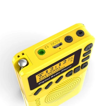 DAB FM-Raadio Digitaalne Raadio, Sisseehitatud Laetav Aku, SD-Kaart, MP3 Taasesituse Funktsioon, Mini Kaasaskantav Kaasaskantavad raadiojaamad