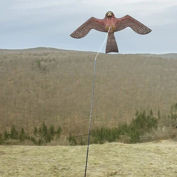 Eagle Lohe Tõetruu Vastupidav Lind Tõrjuv Sõidab Harksaba Hernehirmutis Peibutamist Mänguasi Aiandus Põllumajandus Protector Valvur