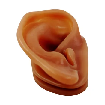 Elu Suurus Räni Inimese Kõrva Mudeli jaoks, Kes Kõrvad Mulje, Võttes Kõrvaklapid Ekraan Kõrvarõngas Seista Mudelid