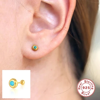 GS 925 Sterling Hõbe Värviline Teemant Kõrvarõngad on Naiste rida Lilla Roheline Punane Tsirkoon Crystal Ear Stud Pool Ehted 117994
