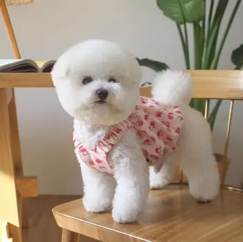 INS uus korea suvel ja sügisel armas virsik mull seelik koer seelik pilduma elastne lühike pet riided