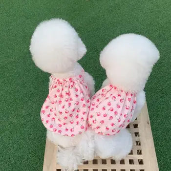 INS uus korea suvel ja sügisel armas virsik mull seelik koer seelik pilduma elastne lühike pet riided