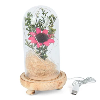 Igavene Lillede emadepäev Romantiline Klaasist Kuppel Maastik, Lill Surematuse Pulm Teenetemärgi USB Plug-in sõbrapäeva