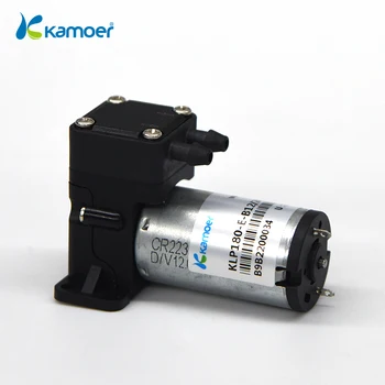 Kamoer KLP180 Micro Diafragma Pump 12/24V Harja/Harjadeta Mootor Mini Pump Reovee-ja joogitööstusele 164173