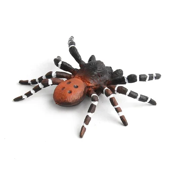 Keeruline Mänguasi Kunstlik Spider Halloween Teenetemärgi Simuleeritud Spider Mudel Realistlik Plastikust Spider Kujukeste Kids Uus Mänguasi