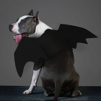 Koer Tarvikud, Lemmiklooma Riided, Tarvikud Halloween Bat Wing Kostüüm Lahe Must Kasside Kutsikad Prosuct Dropshipping