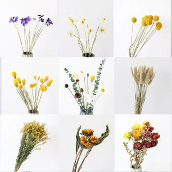 Kuivatatud lilledest Kimp DIY Materjalide Kaunistada Igavene Lilled, Gypsophila, elutuba Teenetemärgi