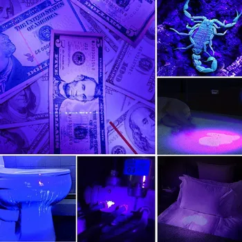 LED-UV-Taskulamp Must Valgus, Ultraviolett-Tõrvik 395nm Lemmikloomade Uriini Plekke Detektor Skorpion Bed Bugs Kasutada AA/14500 Aku