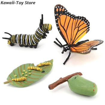 Lapsed Kognitiivse Haridus Mänguasjad Simulatsioon Loomade Putukate Mudel Mini Loomade Liblikas Kasvutsükli Kaunistused