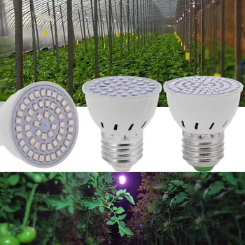 Led Hüdropooniline Taimede Kasvu Kerge E27 Led Pirn Kasvab Täieliku Spektri UV-Lamp, 220V Taim E14 Lill Seemikute Fitolamp