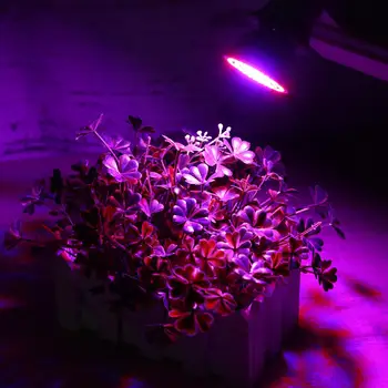 Led Hüdropooniline Taimede Kasvu Kerge E27 Led Pirn Kasvab Täieliku Spektri UV-Lamp, 220V Taim E14 Lill Seemikute Fitolamp