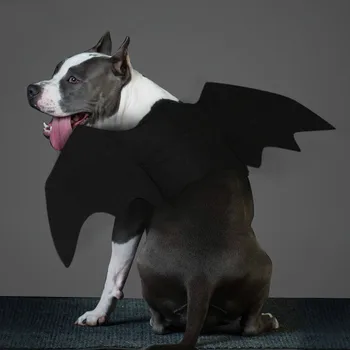 Lemmikloomade Riided Black Bat Tiivad Rakmed Kostüüm Halloween Cosplay Kass Koer Halloween Pool lemmikloomatarbed
