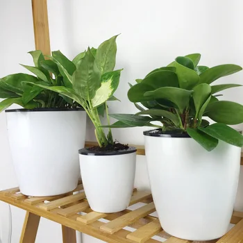 Lille Pott Taime Auto Ise neelavad Planter Kodu Aed Decor Istutamiseks Vahendid Väljas toataimed Sõnajalad Succulents