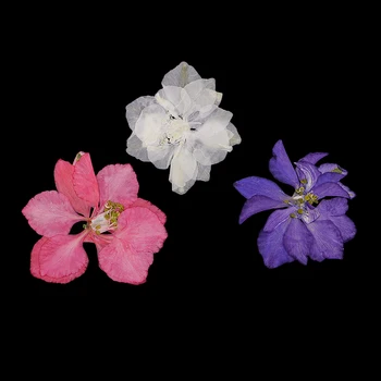 Looduslikult kaunis Pressitud Kuivatatud Lilled DIY Kunst, Käsitöö, Vaik Ehted Tegemine 59547
