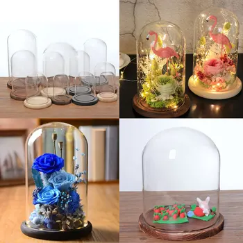 Läbipaistvast klaasist kupli puidust alus panna lilled,microlandscape vidinad sünnipäeva, halloweeni,pulmad,Jõulud teenetemärgi