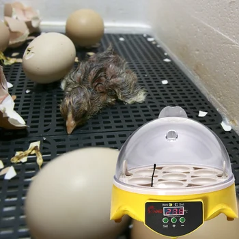 Mini 7 Muna Inkubaator Automaatne Intelligentne Vutt Papagoi Brooder Hatcher Kana, Part Tuvi Inkubaatorid Hatcher Munad Hammas Sahtel