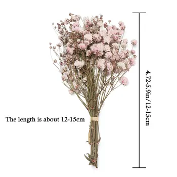Mini Dekoratiivsete Kuivatatud Lilled Babysbreath Lilled, Kimp Looduslike Taimede säilitada Õie Pulm Kodu Kaunistamiseks 30565
