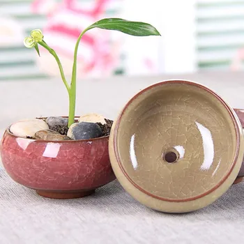 Mini Mahlakad Kapseldatud Taim, Lill, Keraamiline Komplekt Lille Poti Sise-Lilled Kasvavad Taimed Bonsai Kodu Aias Office Desk Decor