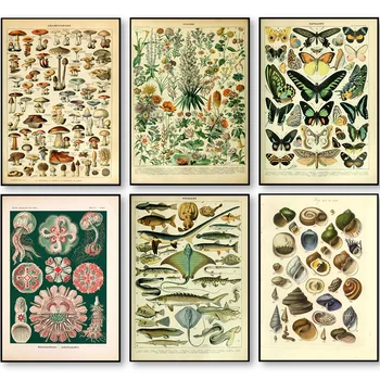 Palaeobios Taim Retro Plakatid ja Pildid Lill Loomade Liblikas Seened Lõuendile Maali Seina Art õlimaal Home Decor