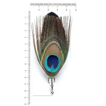 Peacock Feather Prossid Naised Mehed Sulgedega Pross Dekoratiivsed Rinnamikrofon Pin Sobiks Broochespins Vintage Broche Pulmapidu 2tk 95557