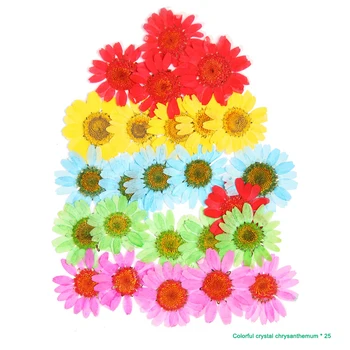Pressitud Lille Segatud Kuivatatud Lilled DIY Kunsti Õie Decors Kogumise Kingitus Käsitöö DIY TN88 15472