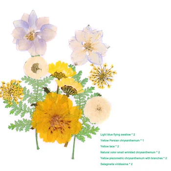 Pressitud Lille Segatud Kuivatatud Lilled DIY Kunsti Õie Decors Kogumise Kingitus Käsitöö DIY TN88