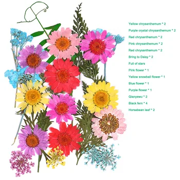 Pressitud Lille Segatud Kuivatatud Lilled DIY Kunsti Õie Decors Kogumise Kingitus Käsitöö DIY TN88