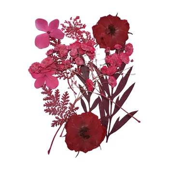 Pressitud Lille Segatud Kuivatatud Lilled Materjali DIY Aroomiteraapia Küünla õnnitluskaart Epoksü Käsitöö Kõrvarõngad BOM666