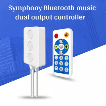 SP601E Dual-Signaali Väljund, Bluetooth Muusika LED Kontroller DC5-24V Mini Symphony Light Traadita Kaugjuhtimispult LED Valgus