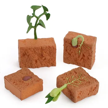 Simulatsioon elutsükli Green Bean Taimede Kasvu Tsükli Mudeli rakendamine Arvandmed Kogumise Teadus, Haridus Mänguasjad Lastele