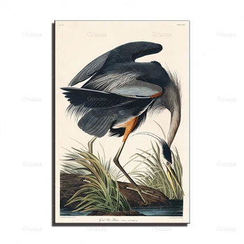 Suur Blue Heron Lindude Ameerikas, John James Audubon Print - Housewarming Sünnipäeva Kingitus Idee - Seina art plakat prindi