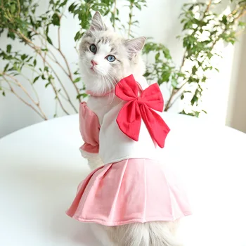 Suvel Kleidid Kasside Ilus Tüdruk Plisseeritud Seelik College Kass Ühes tükis Kleit Koera Lemmiklooma Riided