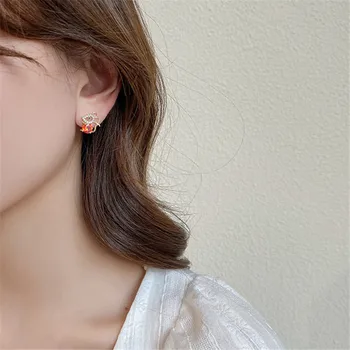Uute Tulijate Crystal Hiirt Tilk Kõrvarõngad Naiste Trendikas Kulla Värvi Klassikaline Geomeetriline Armas Kõrvarõngad Naine Ebaregulaarne Korea Ehted