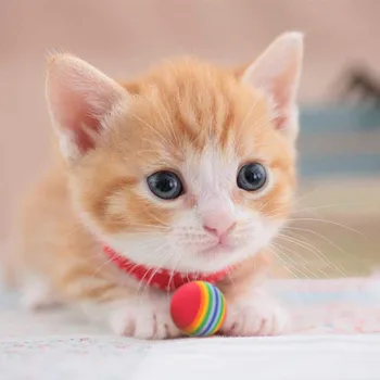 Värvikas EVA Cat Toy Ball Interaktiivne Kass Scratcher Mänguasi Pet Palli Mänguasjad Kass Sefl-Mängib Hammaste Krigistamine Naljakas, Koer Tarvikud