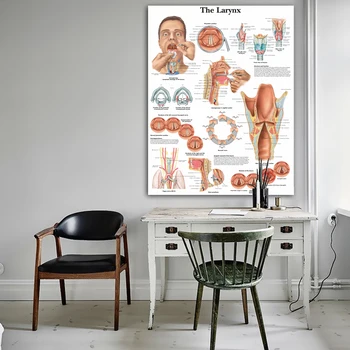 WANGART Anatoomilise Graafikuid Kõri Chart Lõuend Print Seina Pildid elutuba Meditsiinilise Hariduse Office Home Decor