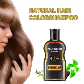 Šampoonid Hall Vastupidine Loomulik Tume Mustad Juuksed Värvi Šampoon Ingver Värvimine 30ml